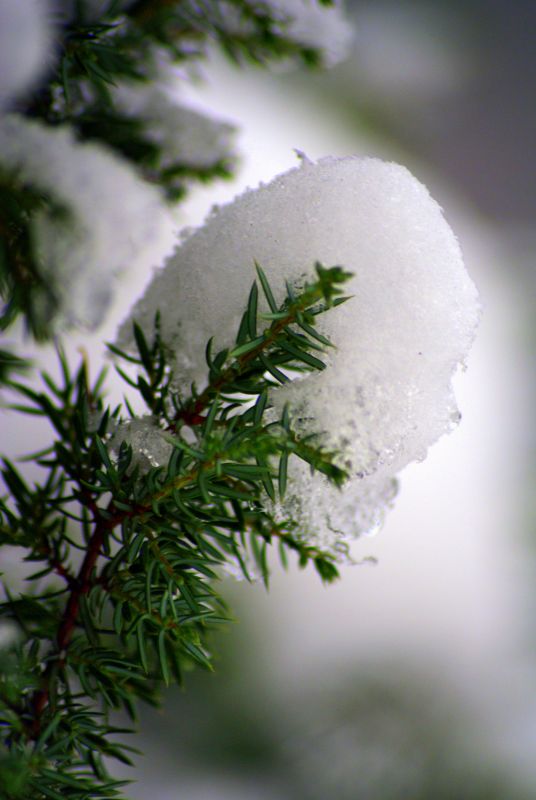 Wczytywanie Obrazu...