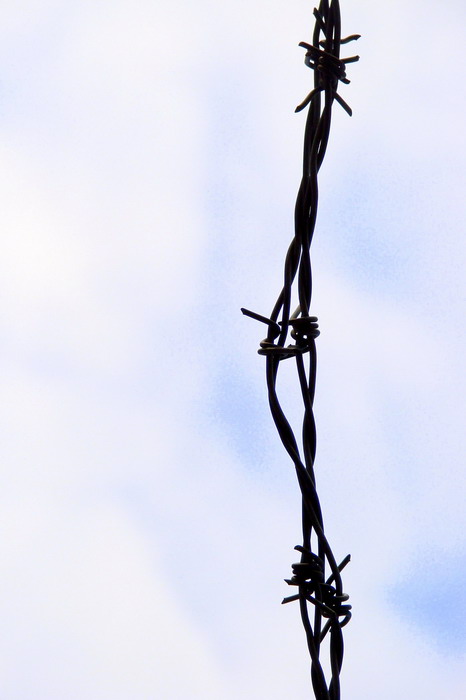 Wczytywanie Obrazu...