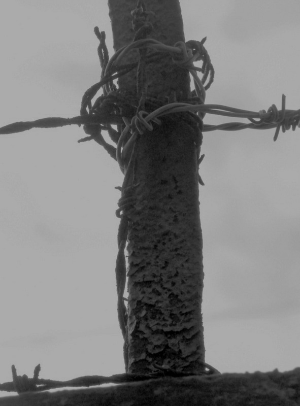 Wczytywanie Obrazu...