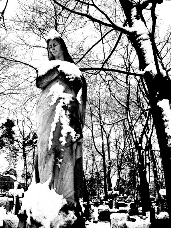 Wczytywanie Obrazu...