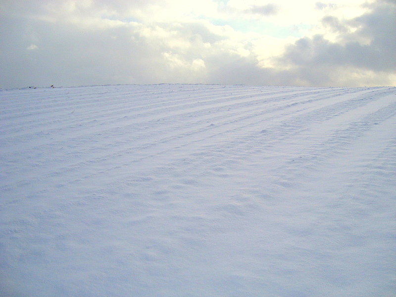 Wczytywanie Obrazu...