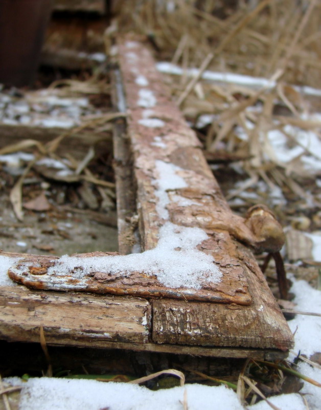 Wczytywanie Obrazu...