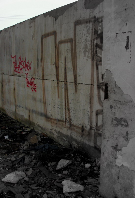 Wczytywanie Obrazu...