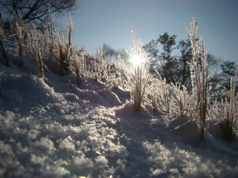 Wczytywanie Obrazu...