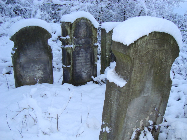 Wczytywanie Obrazu...