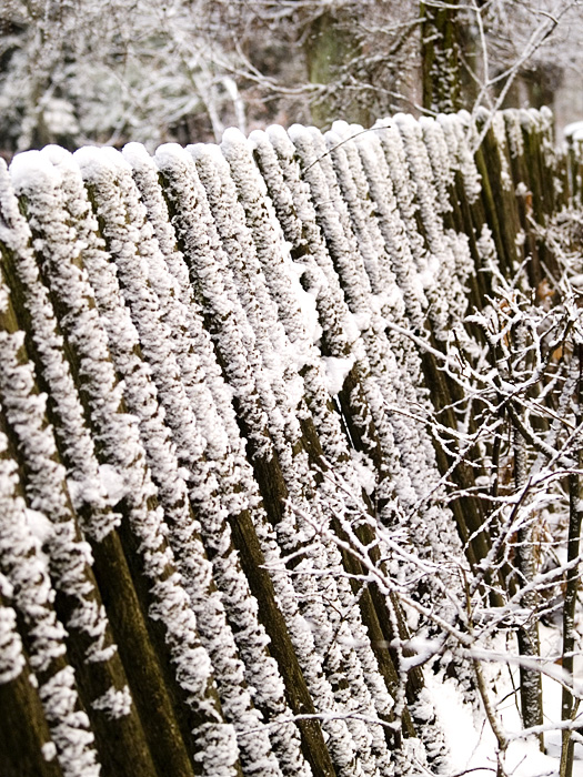 Wczytywanie Obrazu...