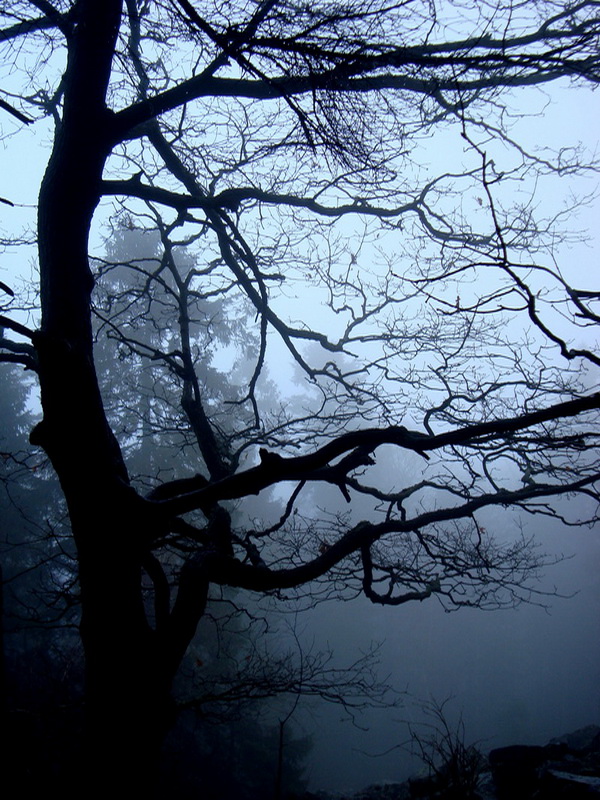 Wczytywanie Obrazu...