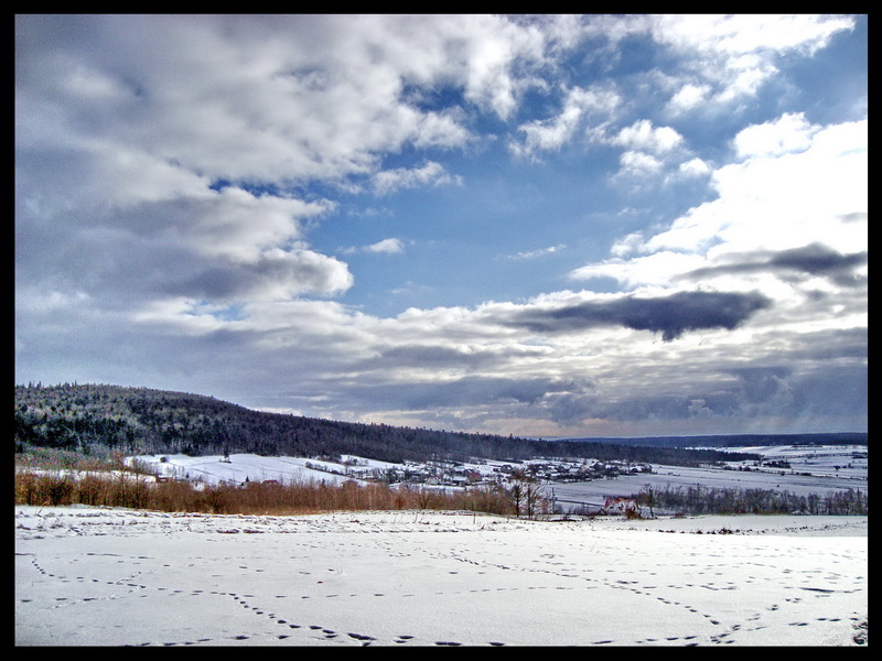 Wczytywanie Obrazu...