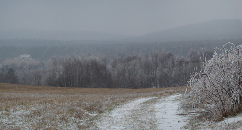 Wczytywanie Obrazu...