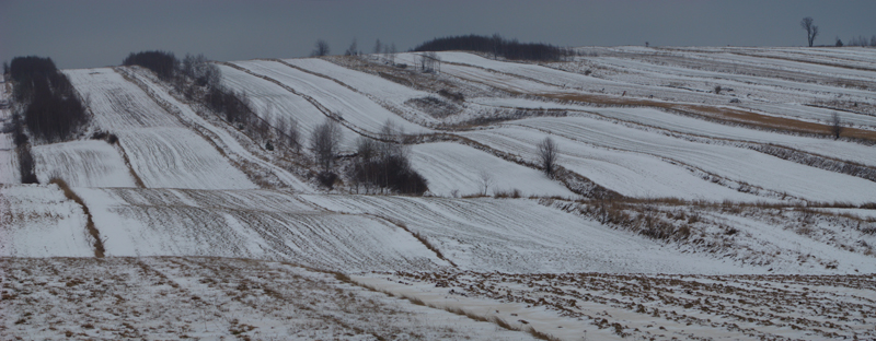 Wczytywanie Obrazu...