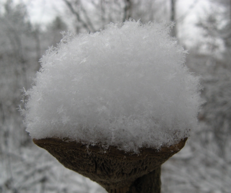 Wczytywanie Obrazu...