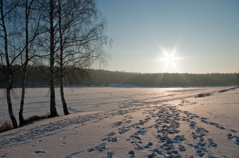 Wczytywanie Obrazu...