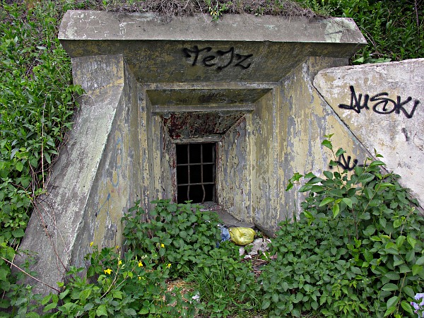 Wczytywanie Obrazu...