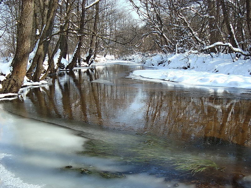 Wczytywanie Obrazu...