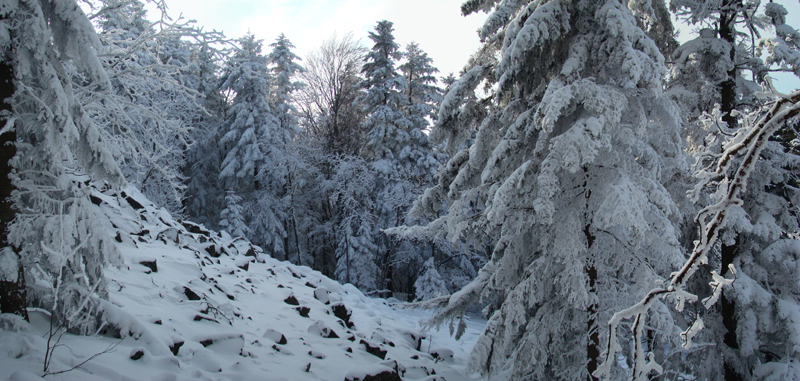 Wczytywanie Obrazu...