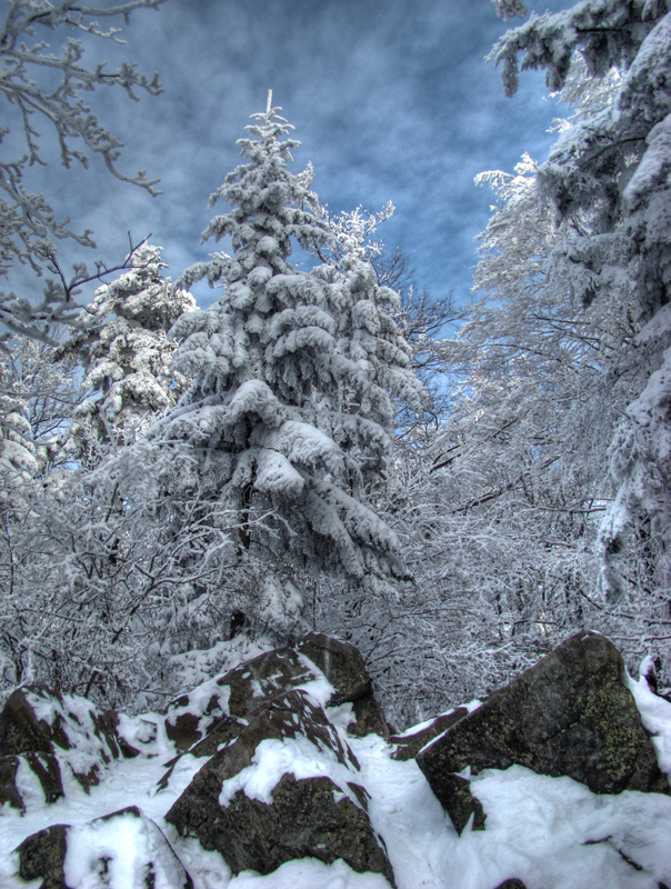 Wczytywanie Obrazu...