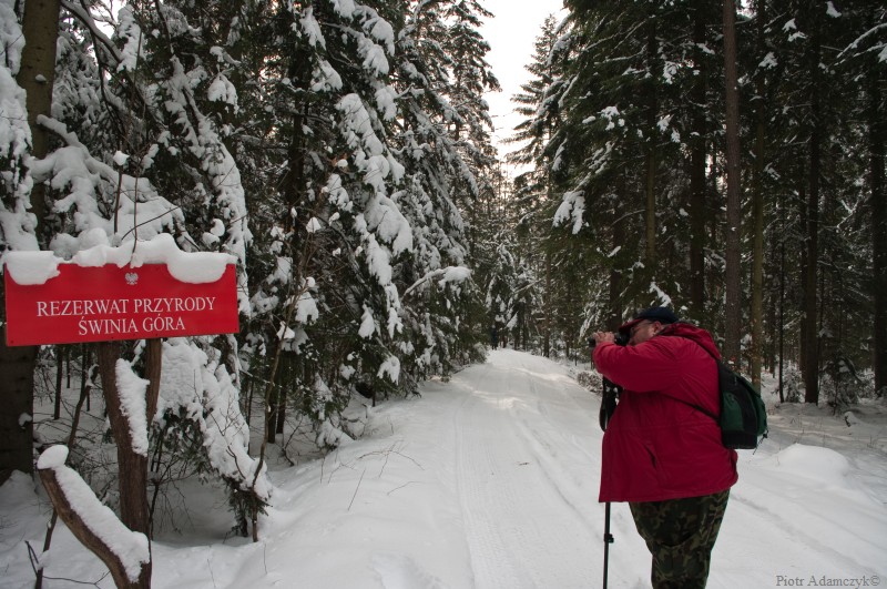 Wczytywanie Obrazu...