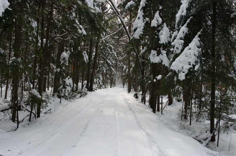 Wczytywanie Obrazu...