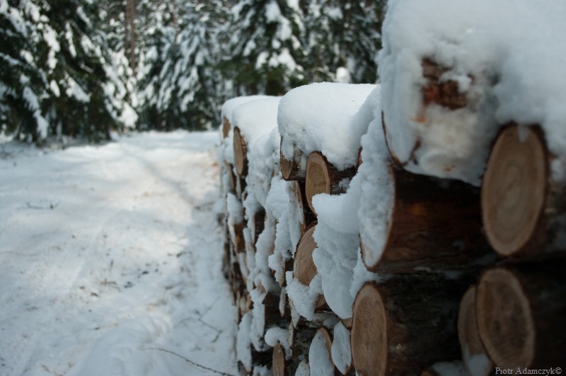 Wczytywanie Obrazu...