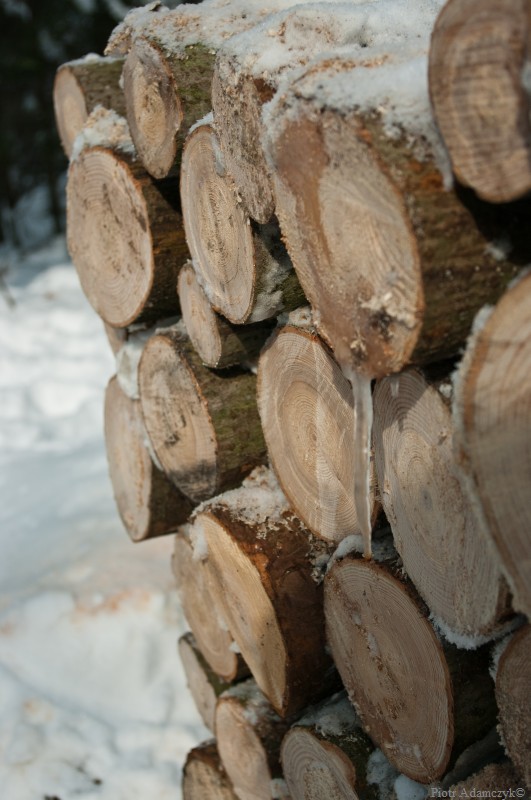 Wczytywanie Obrazu...