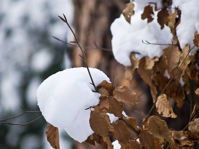 Wczytywanie Obrazu...