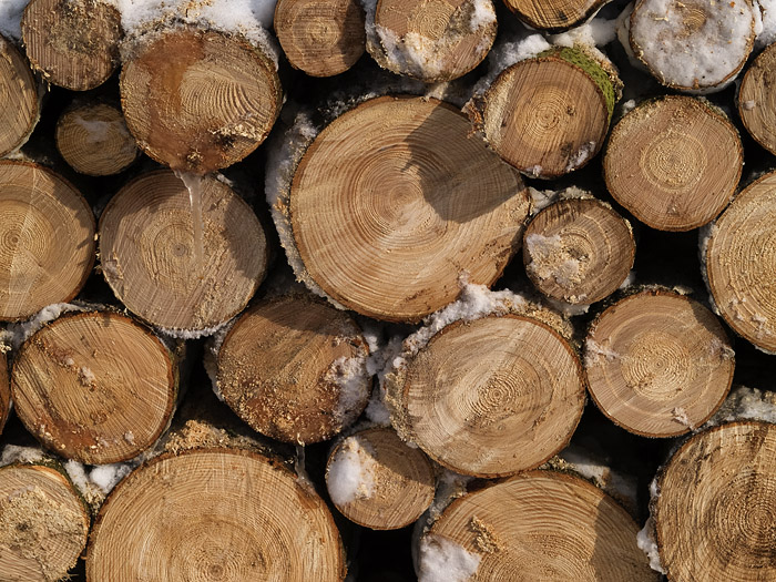 Wczytywanie Obrazu...