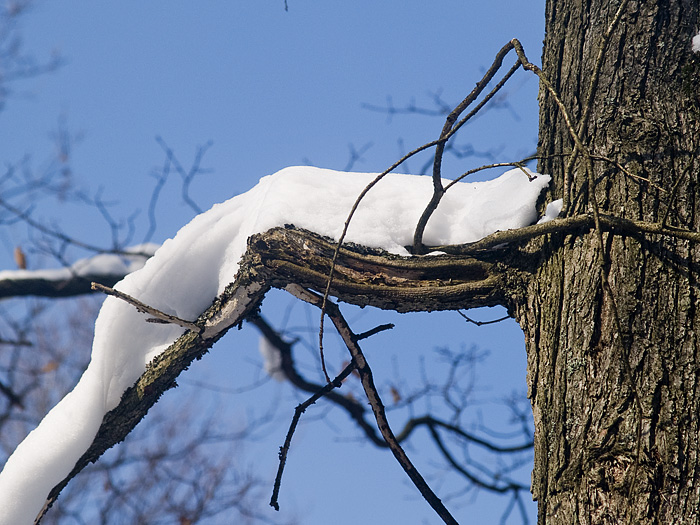 Wczytywanie Obrazu...