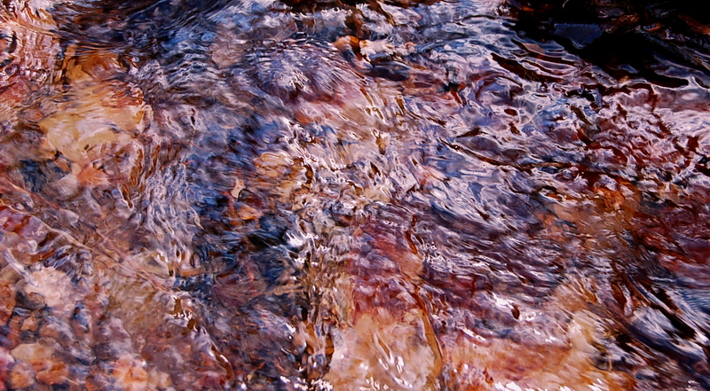 Wczytywanie Obrazu...