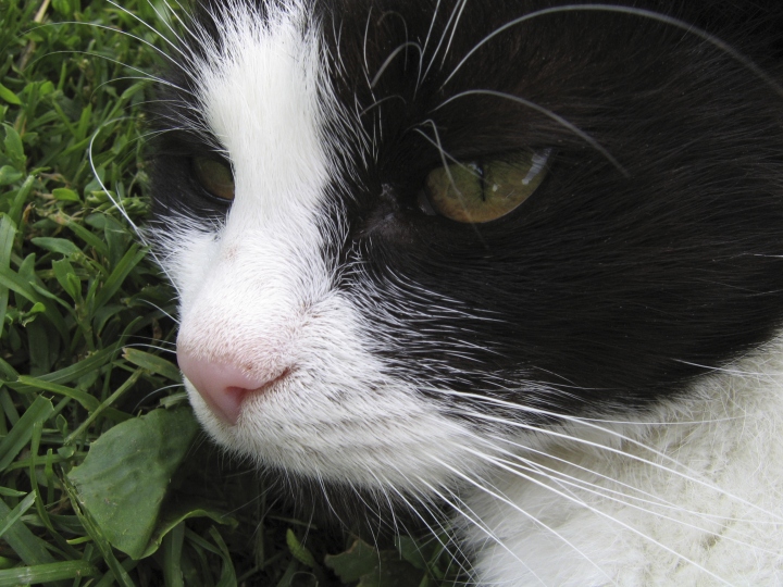 Wczytywanie Obrazu...