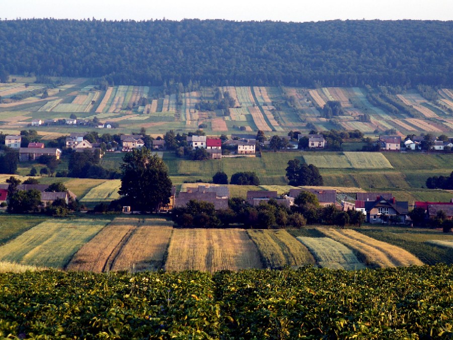 Wczytywanie Obrazu...