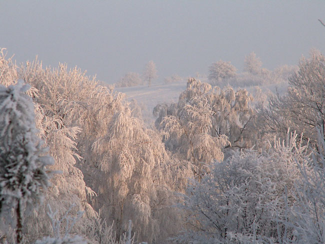 Wczytywanie Obrazu...