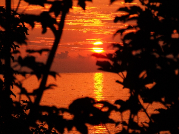 Wczytywanie Obrazu...