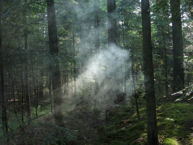 Wczytywanie Obrazu...