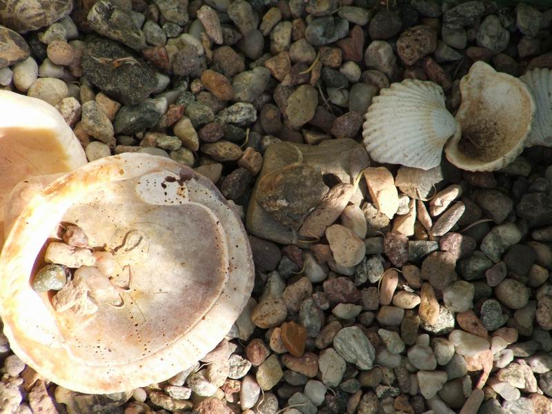 Wczytywanie Obrazu...