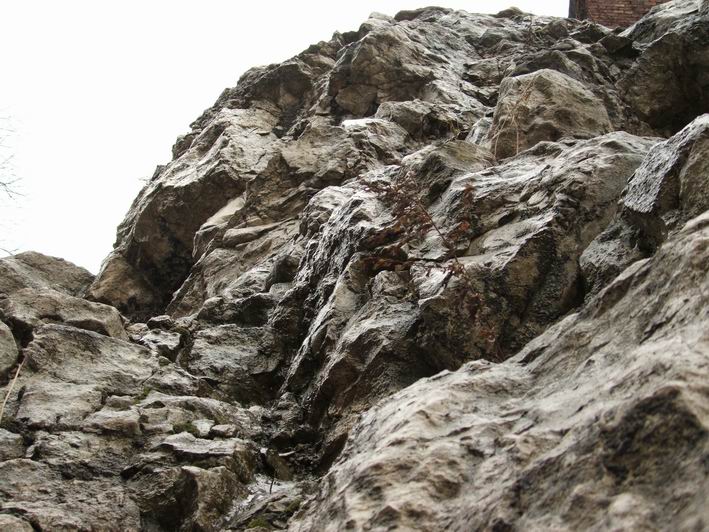 Wczytywanie Obrazu...