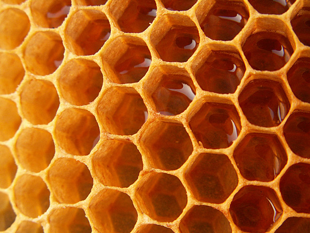 Wczytywanie Obrazu...