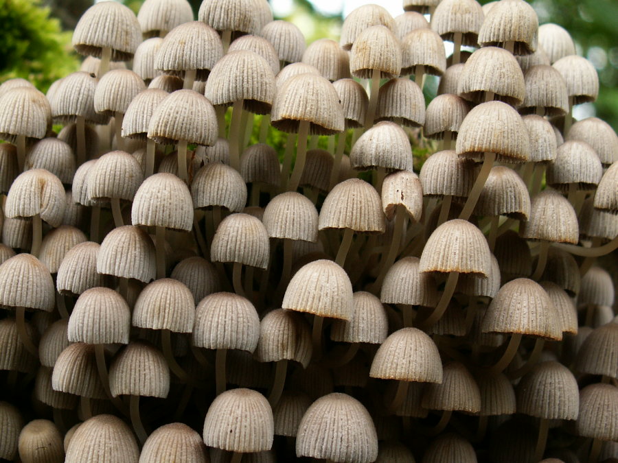 Wczytywanie Obrazu...