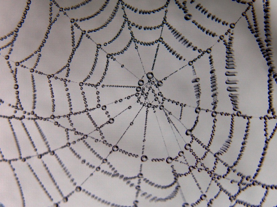 Wczytywanie Obrazu...