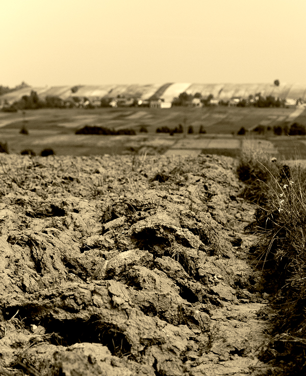 Wczytywanie Obrazu...