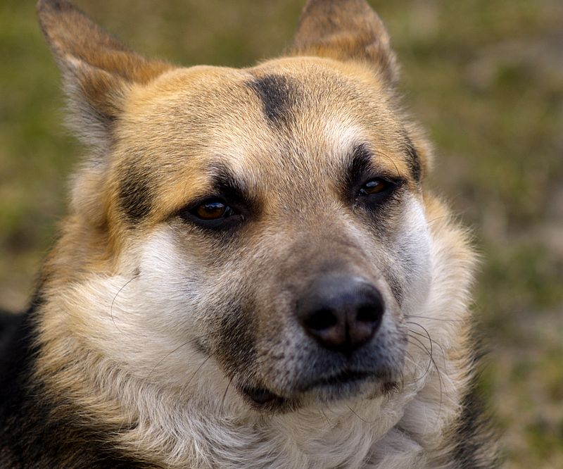 Wczytywanie Obrazu...