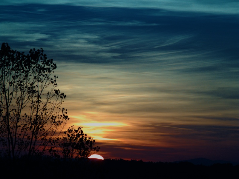 Wczytywanie Obrazu...