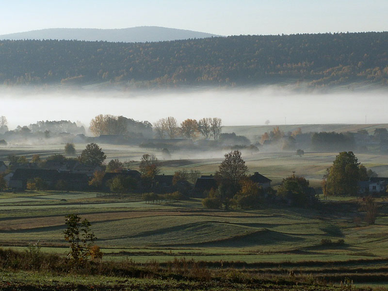 Wczytywanie Obrazu...