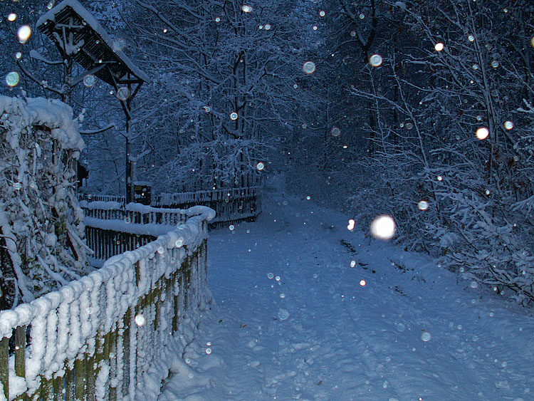 Wczytywanie Obrazu...