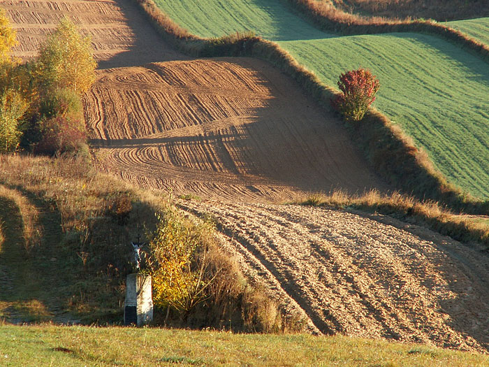 Wczytywanie Obrazu...