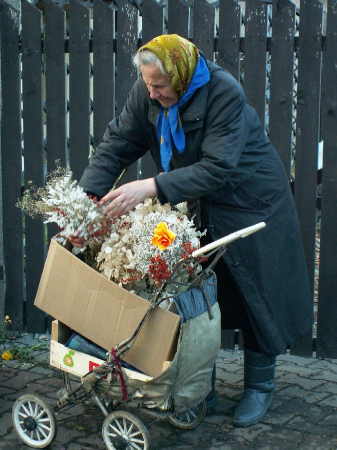 Wczytywanie Obrazu...