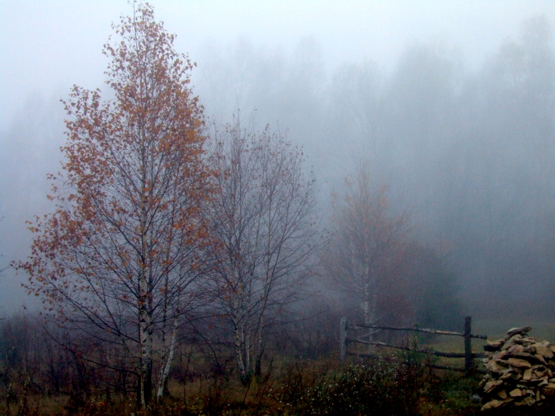 Wczytywanie Obrazu...