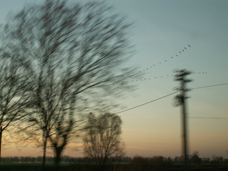 Wczytywanie Obrazu...