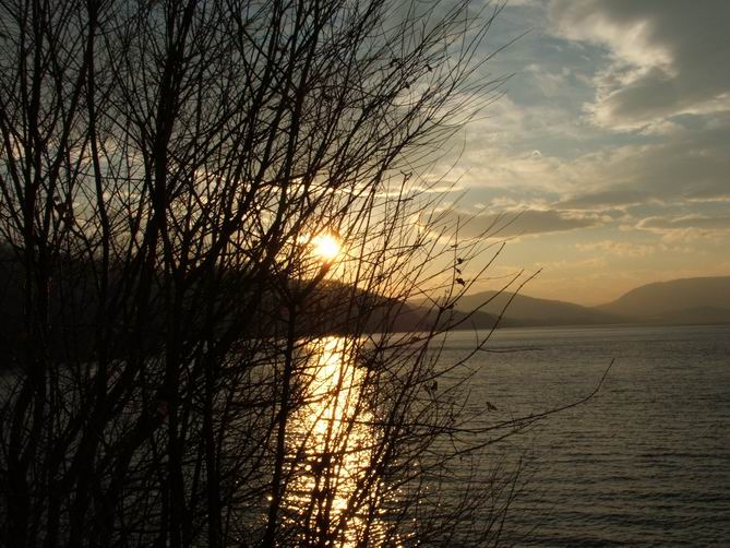 Wczytywanie Obrazu...