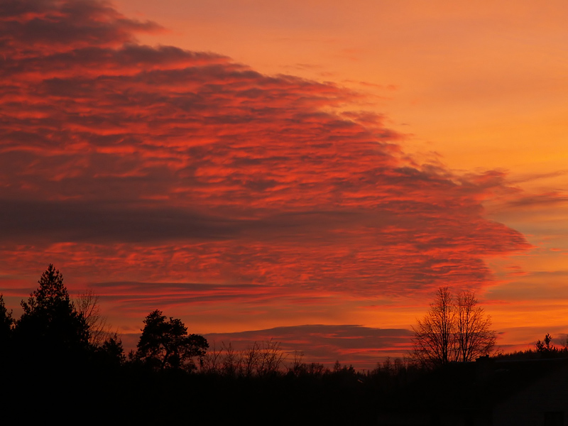 Wczytywanie Obrazu...