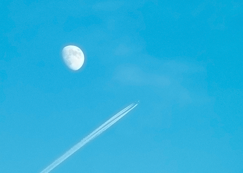 Wczytywanie Obrazu...